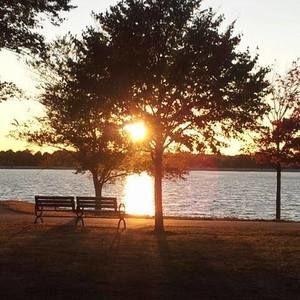 Meet your Posher, Sally